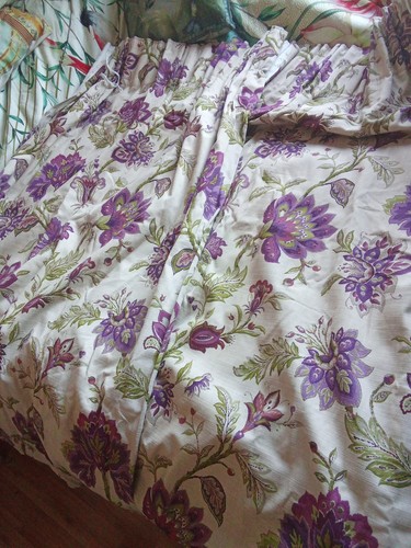 Dorma 100 cotton - cotton, bloomsbury